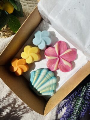 COFFRET FONDANT DÉLICE D'ÉTÉ