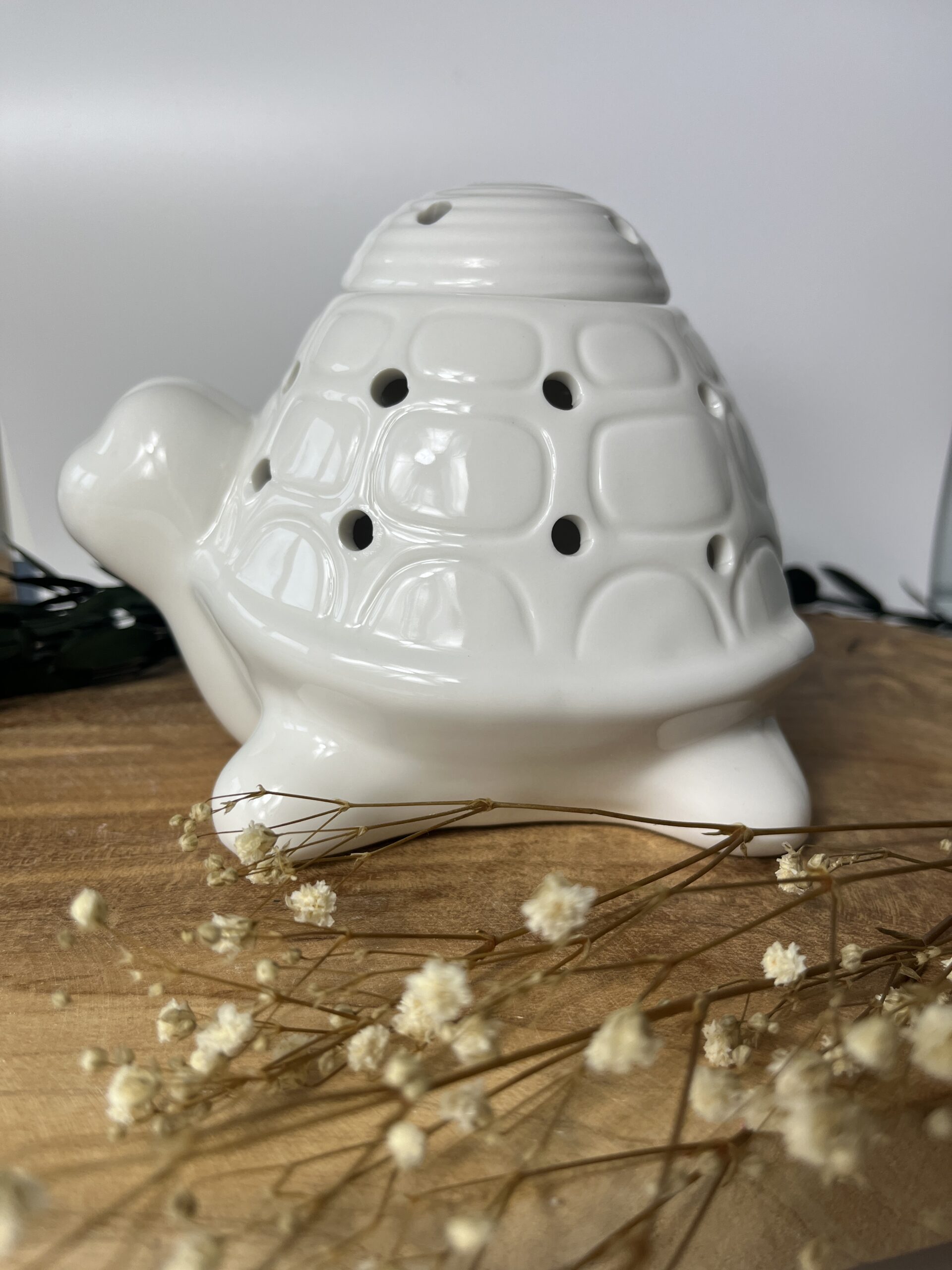 Brûle parfum tortue