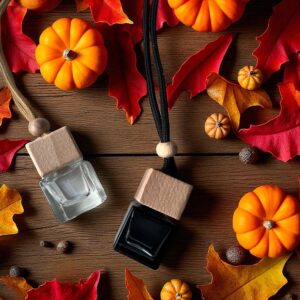 Diffuseur voiture collection automne