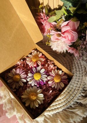 Coffret marguerite