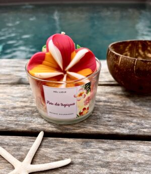Bougie gourmande Rose des tropiques